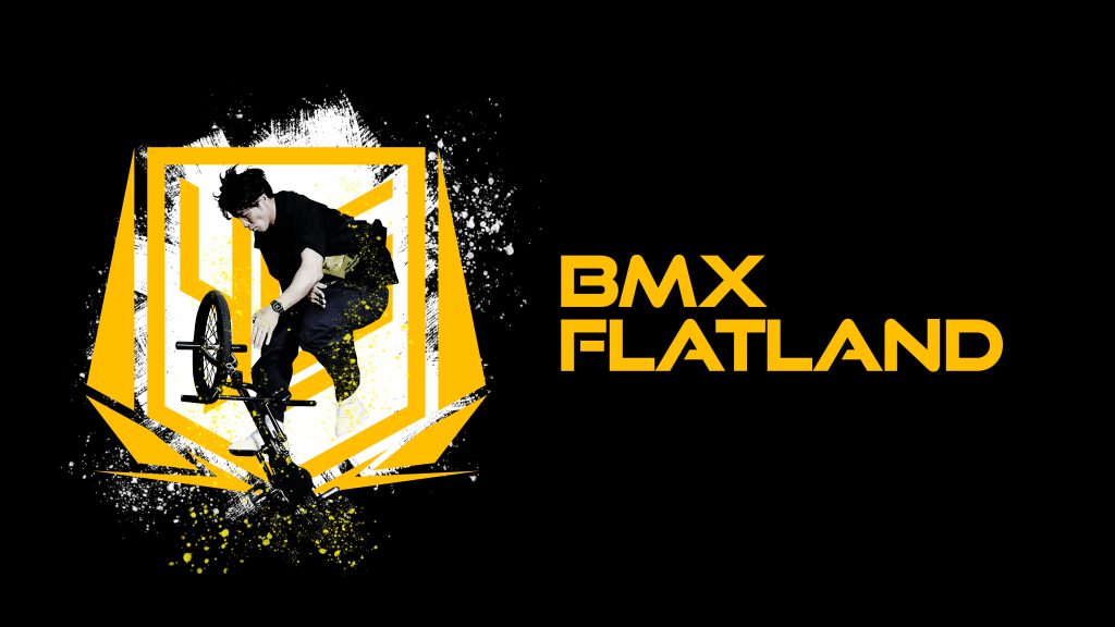BMX フラットランド